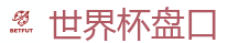 2026 FIFA 世界杯(押注)官方中文站